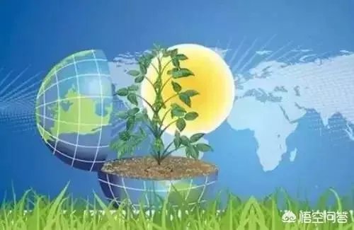 如何做到低成本创业？