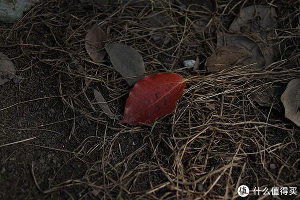 美能达镜头推荐