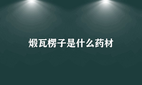 煅瓦楞子是什么药材