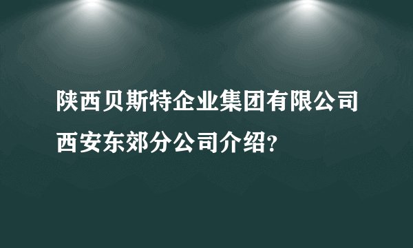 陕西贝斯特企业集团有限公司西安东郊分公司介绍？