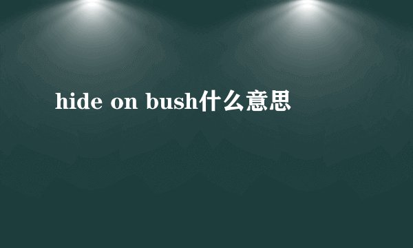 hide on bush什么意思