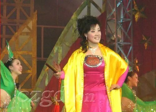 潞安鼓书的介绍