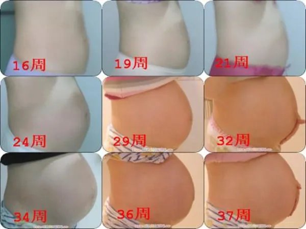 怀孕1一9月肚子变化图过程