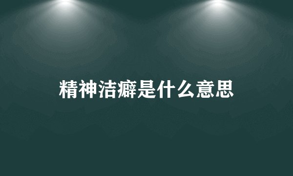 精神洁癖是什么意思