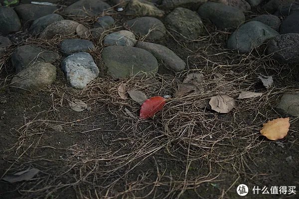 美能达镜头推荐