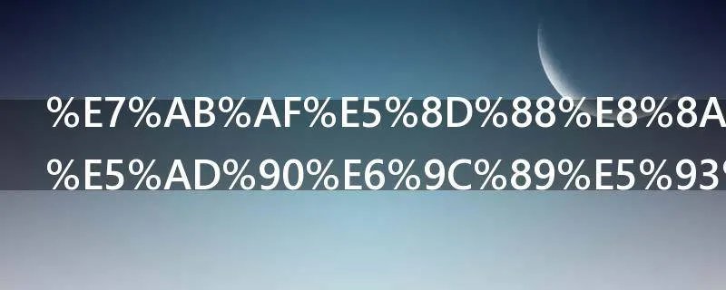 端午节的粽子有哪些