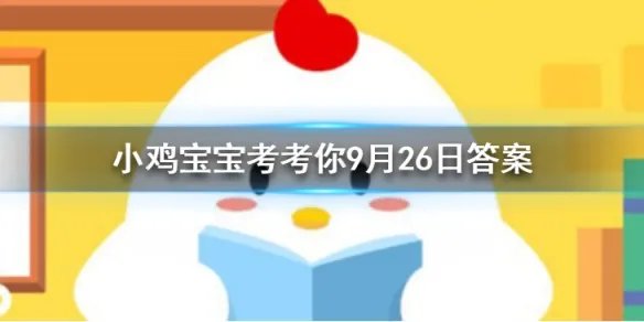 小鸡宝宝考考你火车和铁轨，哪个最先被发明出来？