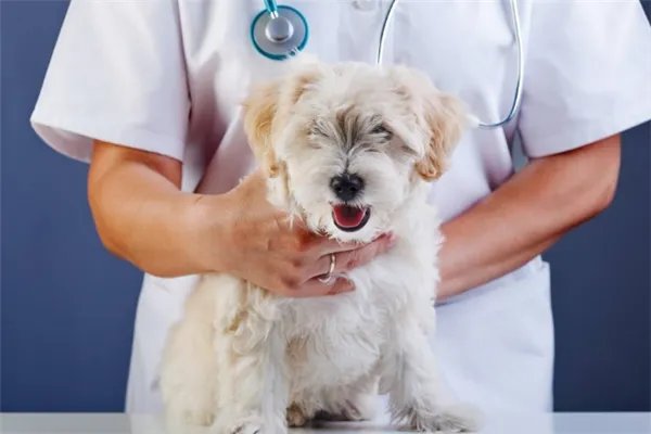 中国十大冷门专业排名 公共事业管理上榜