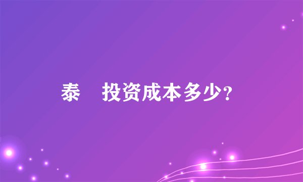 泰囧投资成本多少？
