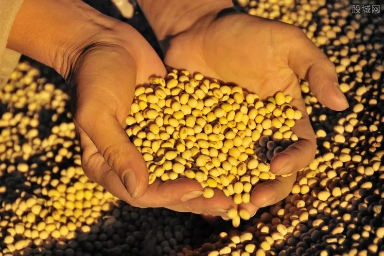 明年农村要交农业税吗 来看事件的真相