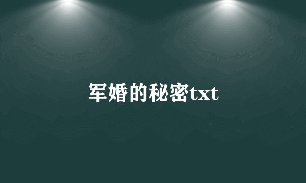 军婚的秘密txt