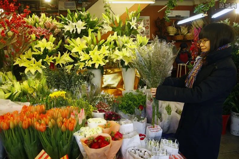 雪后玫瑰身价金贵 每支上涨到8元以上