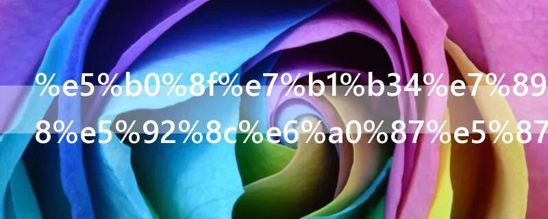 小米4特别版和标准版有什么区别