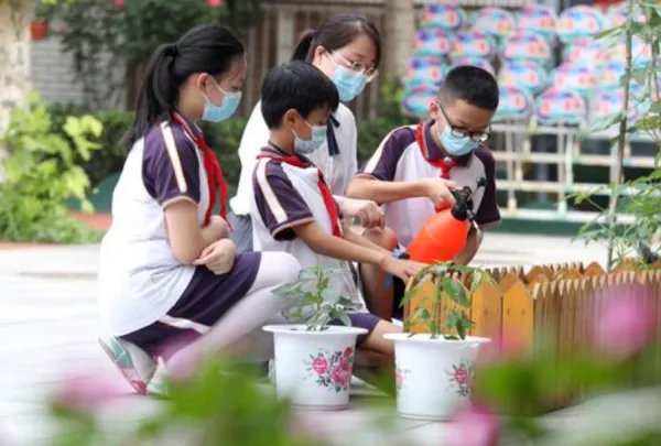 9月新学期，劳动课正式“升级”为中小学的独立课程，此举能解决哪些问题？