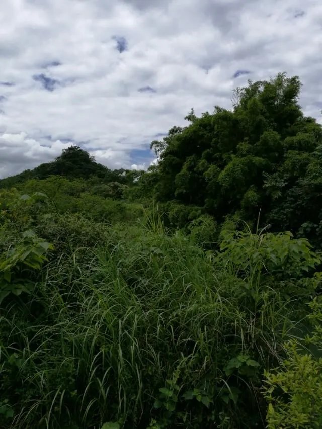 “热热热，凉风去哪了”，你能对出下联吗？