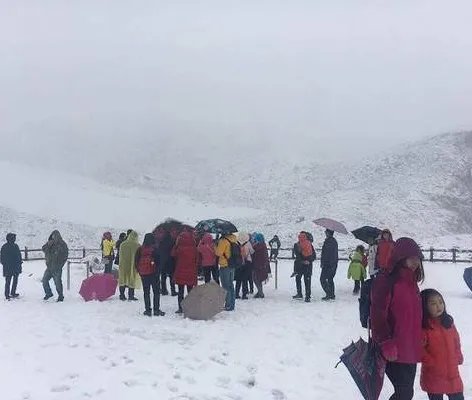 四川阿坝达古冰山景区大雪纷飞情景如何？