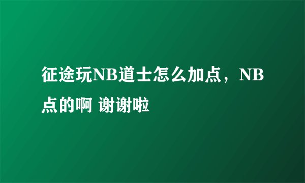征途玩NB道士怎么加点，NB点的啊 谢谢啦