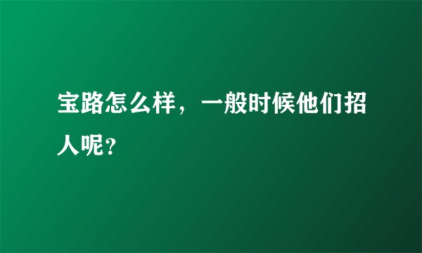 宝路怎么样，一般时候他们招人呢？