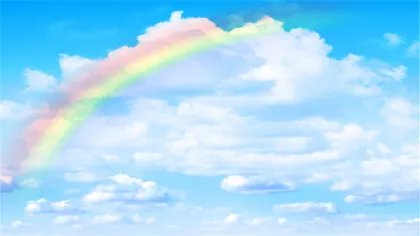 野狼disco是什么