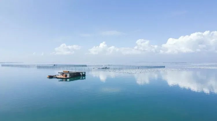 网红海上酒店已停用并被拖离海域，这家酒店为何被停用呢？