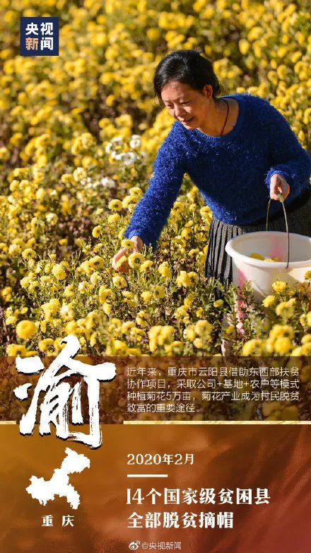 八年载入史册！中国已消除绝对贫困：9899万人口脱贫！