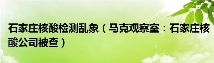 石家庄核酸检测乱象（马克观察室：石家庄核酸公司被查）