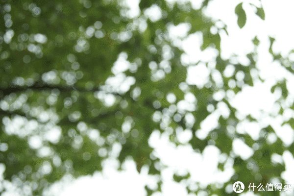 美能达镜头推荐