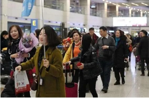 中国游客和日本游客纷纷表示不背“锅”，韩国遍地垃圾到底来自哪里？