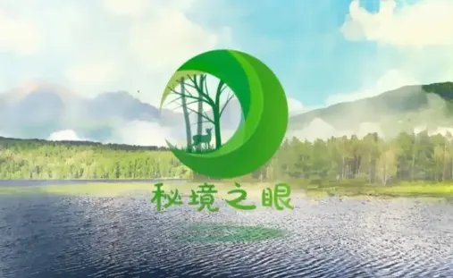 中央一台全天节目表