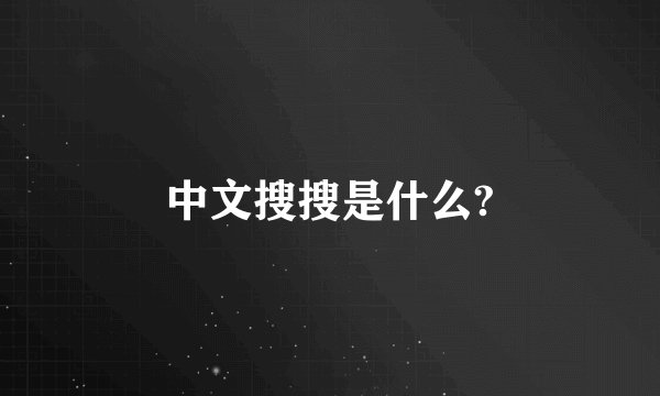 中文搜搜是什么?