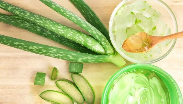 芦荟胶的功效作用 芦荟胶作用是什么