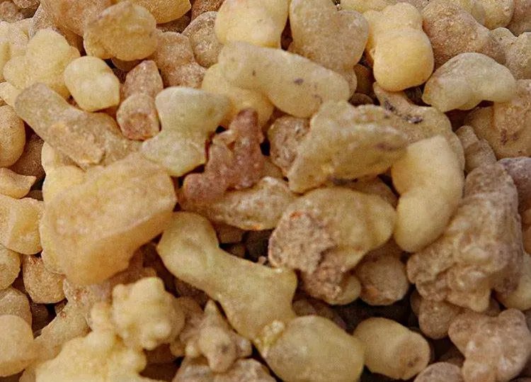 乳香的功效与作用