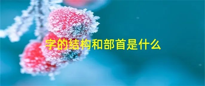 字的结构和部首是什么