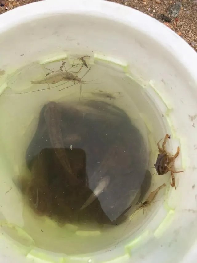 葫芦岛的东戴河和北戴河有啥关系吗？