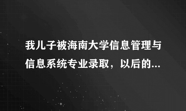我儿子被海南大学信息管理与信息系统专业录取，以后的就业前景怎样？