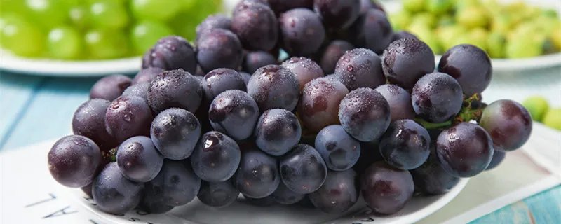 巨峰葡萄和夏黑的区别 巨峰葡萄和夏黑葡萄区别是什么