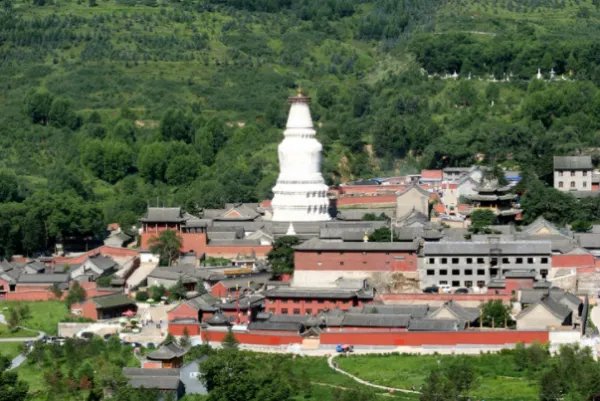 五台山的尼姑日益增多，为什么却遭到游客的反感？