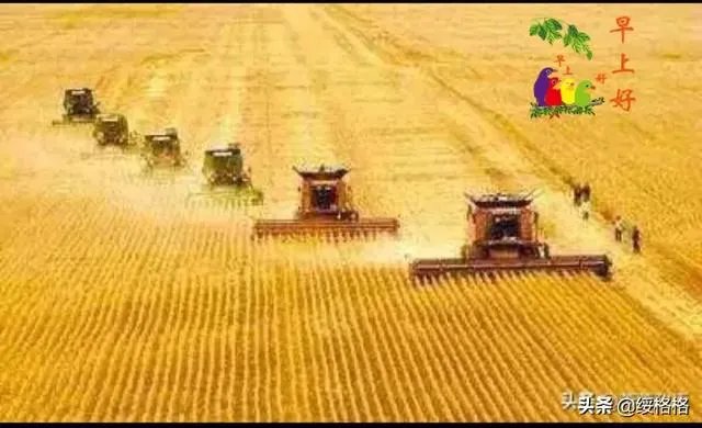 为什么感觉现在网上很多人开始踩马云？