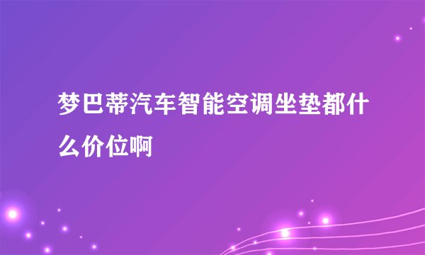 梦巴蒂汽车智能空调坐垫都什么价位啊