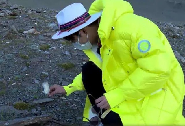 专家反驳刘宇宁采摘的是道具，为何节目组的问题明星被怼？