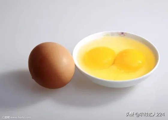 鸡为什么会下双黄蛋？