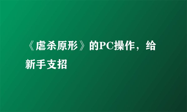 《虐杀原形》的PC操作，给新手支招
