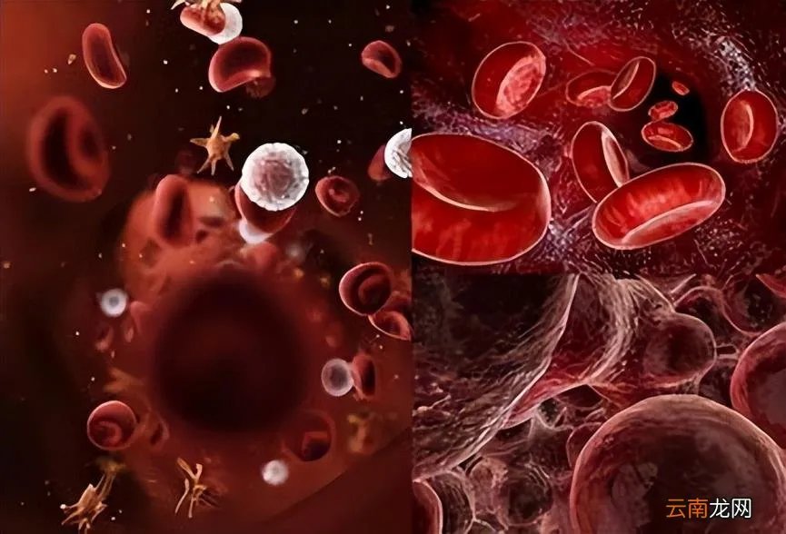 干咳无痰吃什么药 干咳无痰吃什么药效果最好