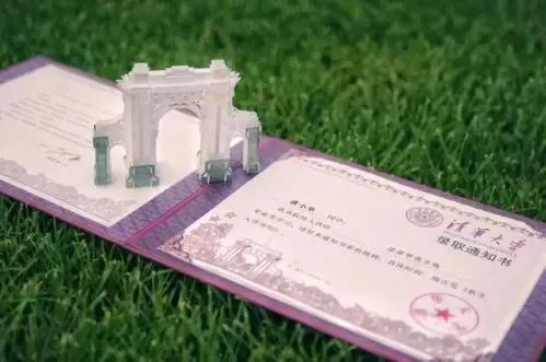 上海一女生因病休学一年后考上清华,你如何看待此事?