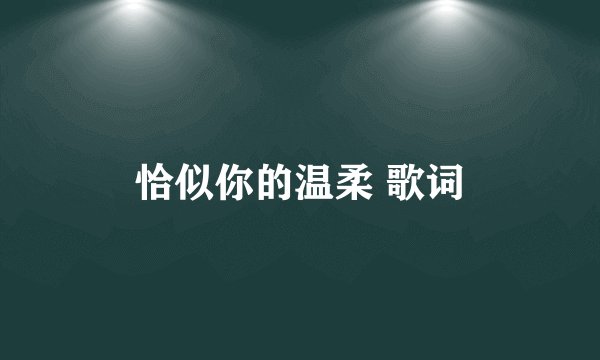 恰似你的温柔 歌词
