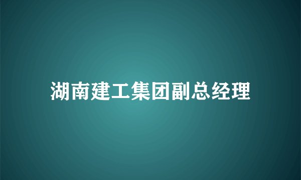 湖南建工集团副总经理