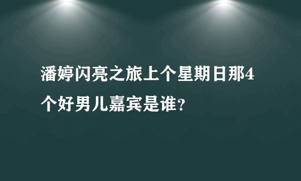 潘婷闪亮之旅上个星期日那4个好男儿嘉宾是谁？