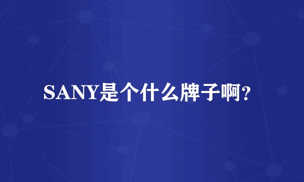 SANY是个什么牌子啊？