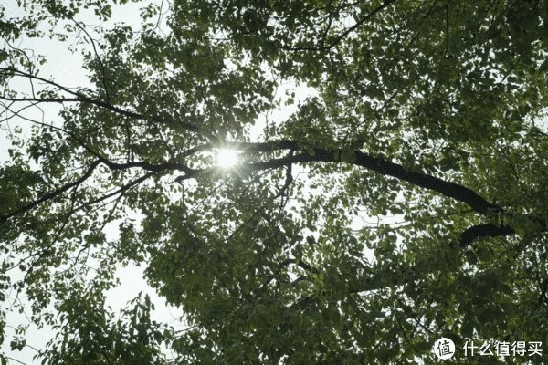 美能达镜头推荐