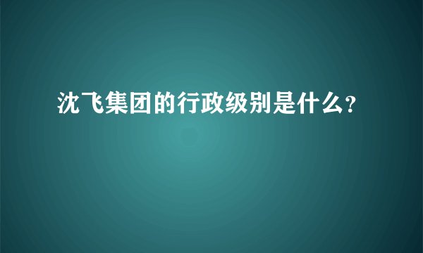 沈飞集团的行政级别是什么？